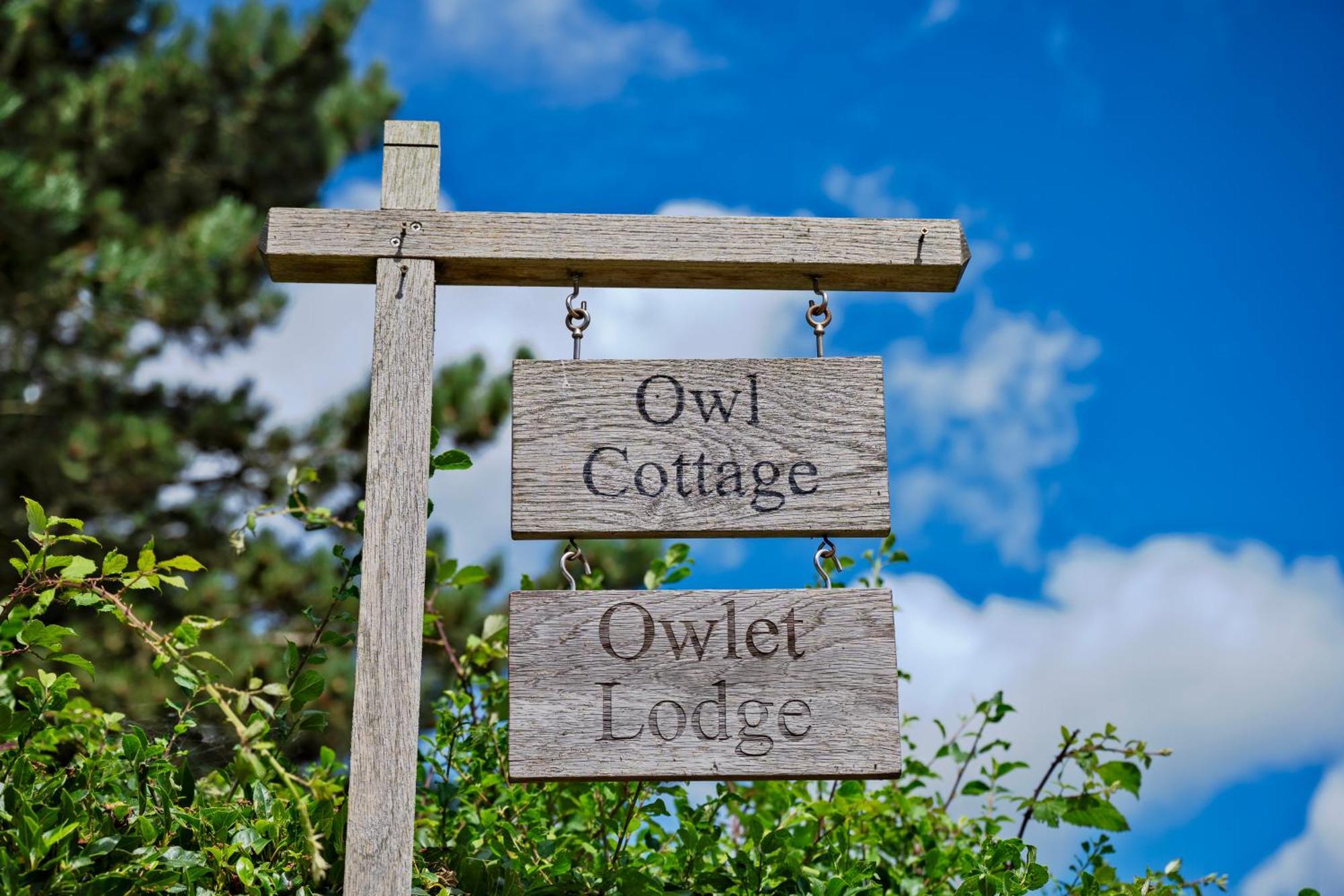 Chislet Owlet Lodge מראה חיצוני תמונה
