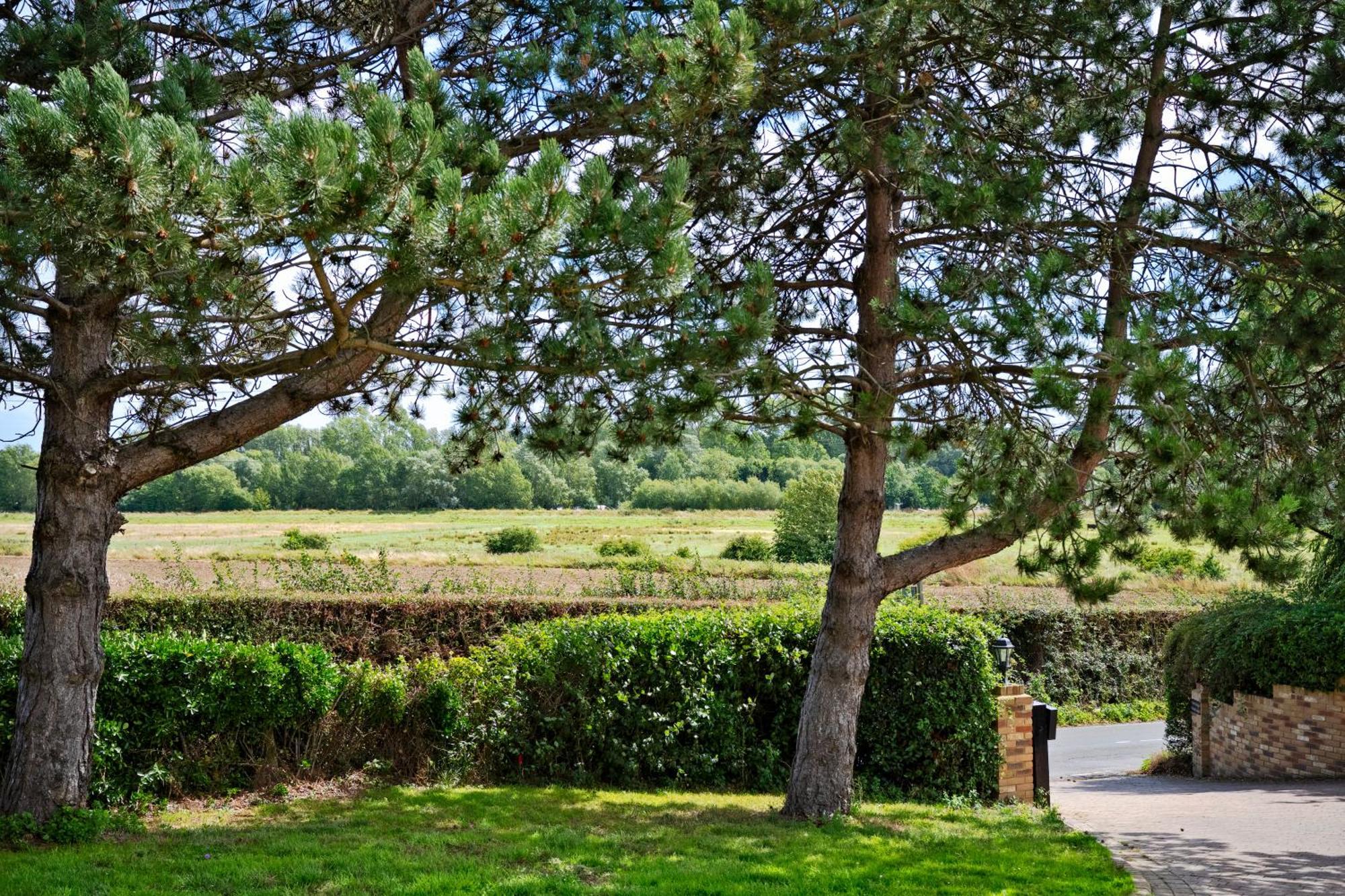 Chislet Owlet Lodge מראה חיצוני תמונה