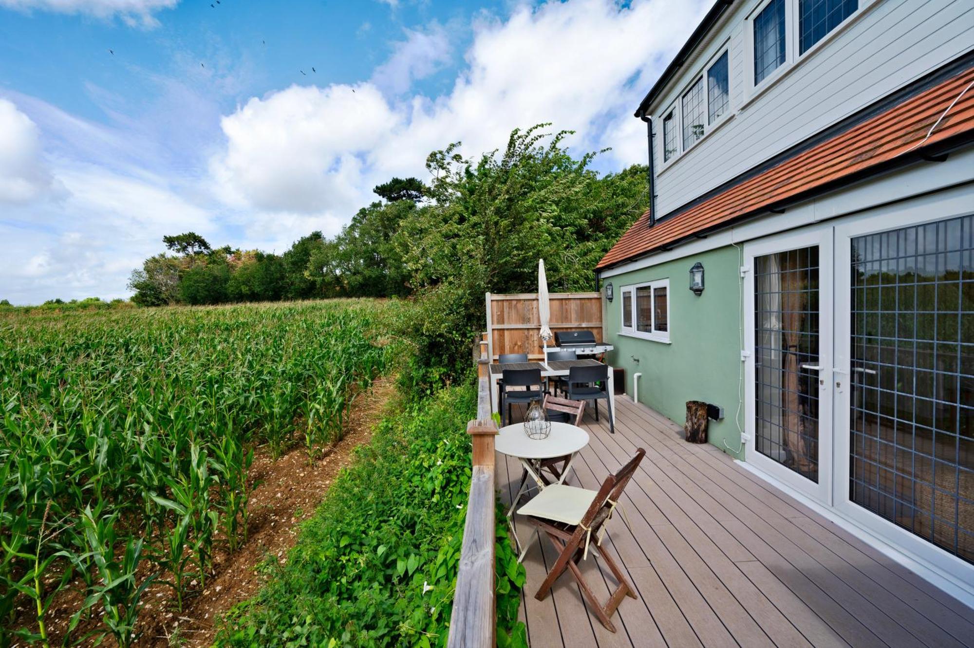 Chislet Owlet Lodge מראה חיצוני תמונה